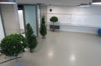 bvo_juniorenmeisterschaften_2014_20150203_1440750629.jpg