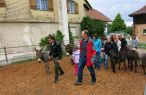 jubilaeumsanlass_2013_20130910_1468908143.jpg